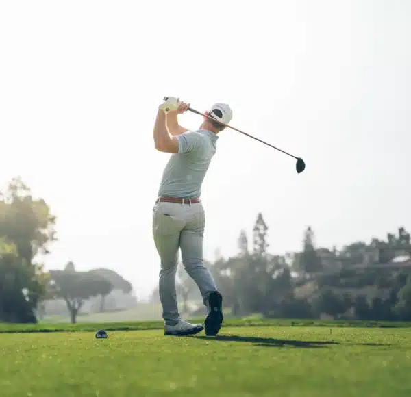 Newton Golf Fast Motion Driver Shaft - Image 3