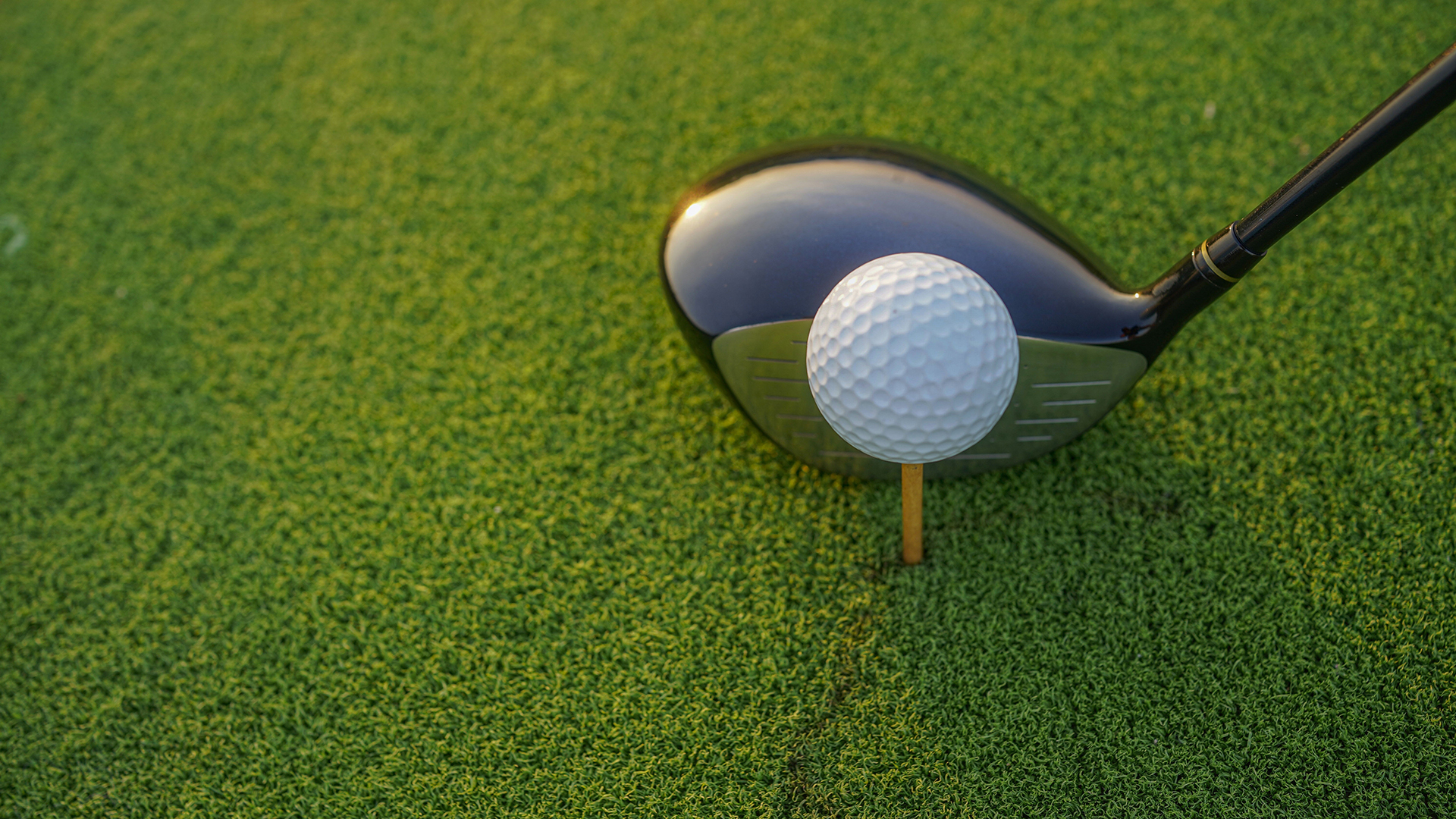 Golf,clubs,and,balls,on,a,green,lawn,in,a